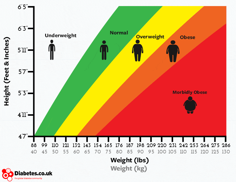 BMI index chart